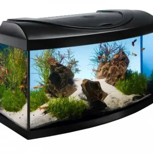 Akční Cena Akvarijní set 60 cm černý oblý s technikou dle výběru