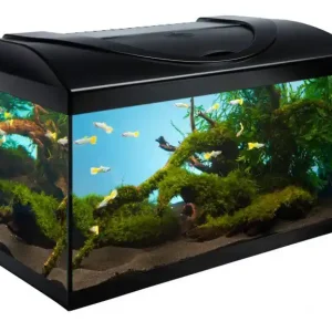 Akvarijní set 80 cm černý rovný s technikou dle výběru Nová Kolekce