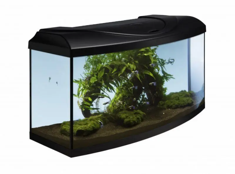 Akvarijní set 80 cm černý oblý s technikou dle výběru Super Cena