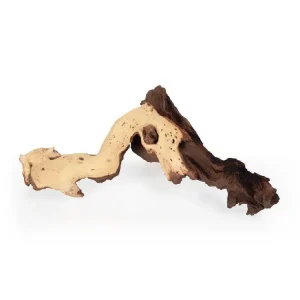 Dokud Zásoby Vydrží Kořen Mopani M / 20 - 40 cm