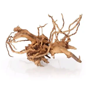 Aktuální Spider wood S