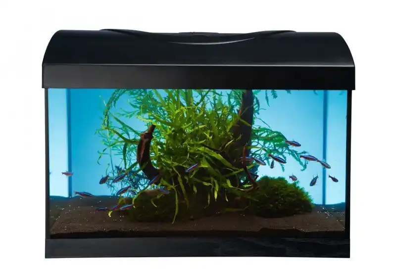 Akce Akvarijní set DIVERSA LED Expert 40 černý rovný