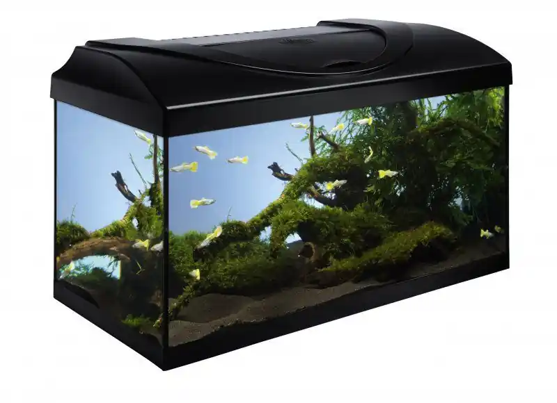 Akvarijní set LED EXPERT 63 l černý rovný Must-Have