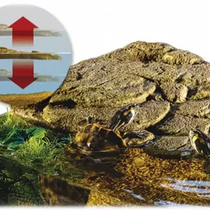 Nejlepší Volba Ostrov ExoTerra S
