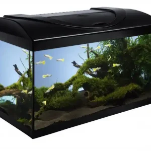 Akvarijní set LED EXPERT 54 l černý rovný Akční Nabídka