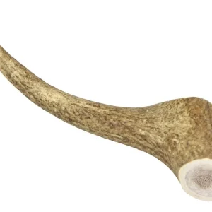 Rychlé Dodání Marp Holistic - Jelení paroh, velikost XL (160 - 200g)