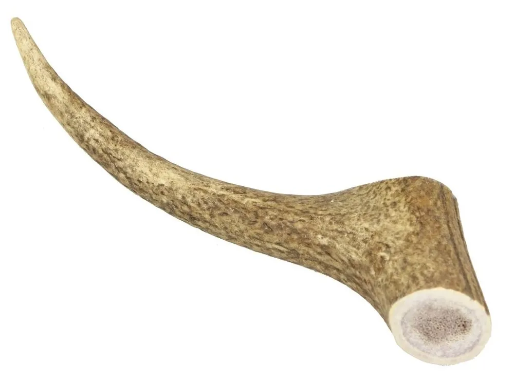 Rychlé Dodání Marp Holistic - Jelení paroh, velikost XL (160 - 200g)