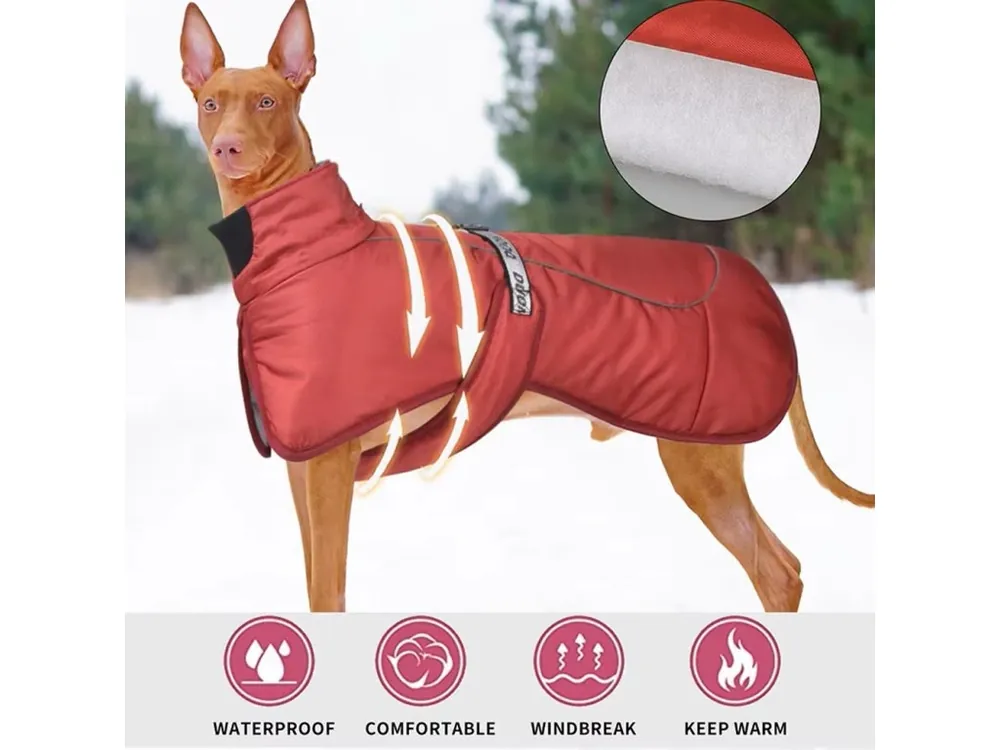 Podzimní nepromokavá vesta pro psy (vel. XL - 6XL) Vrácení Zdarma