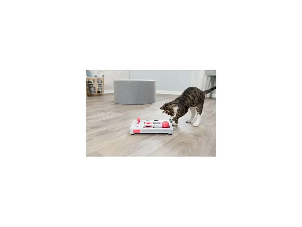 Omezená Nabídka Cat Activity Brain Mover desková hra 25x20 cm