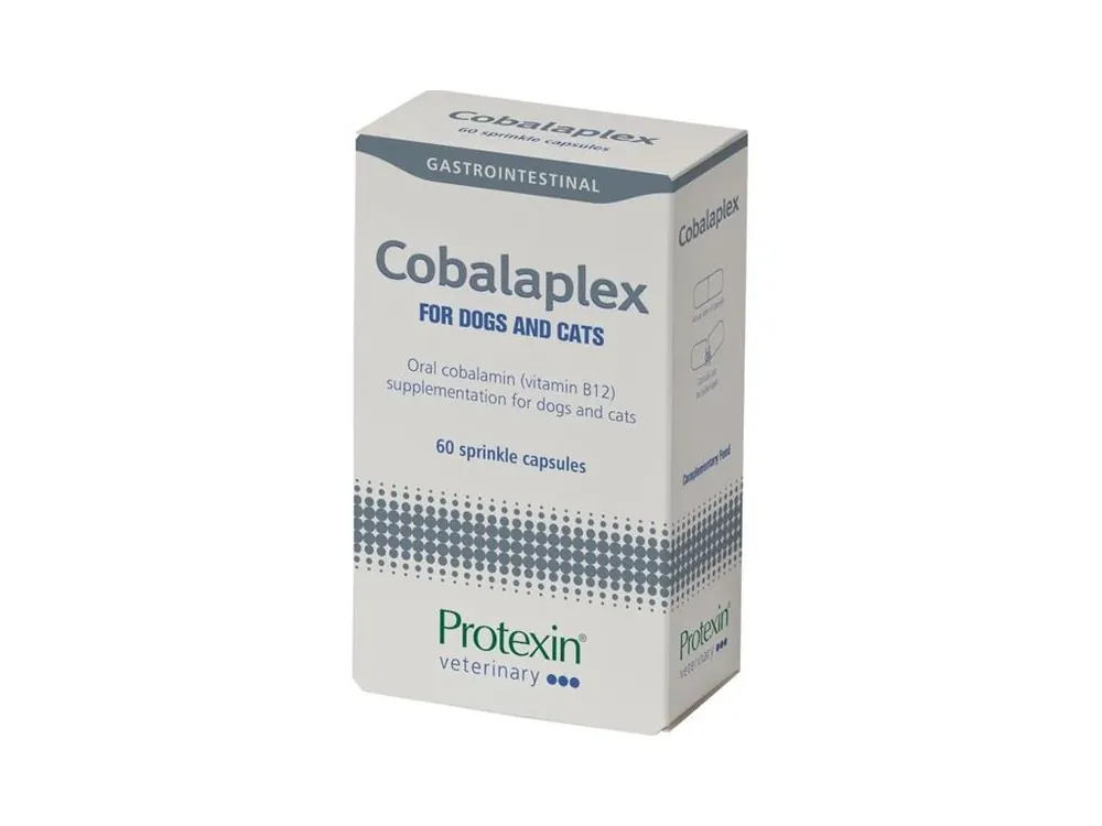 Ihned K Objednání Protexin Cobalaplex pro psy a kočky 60 kapslí
