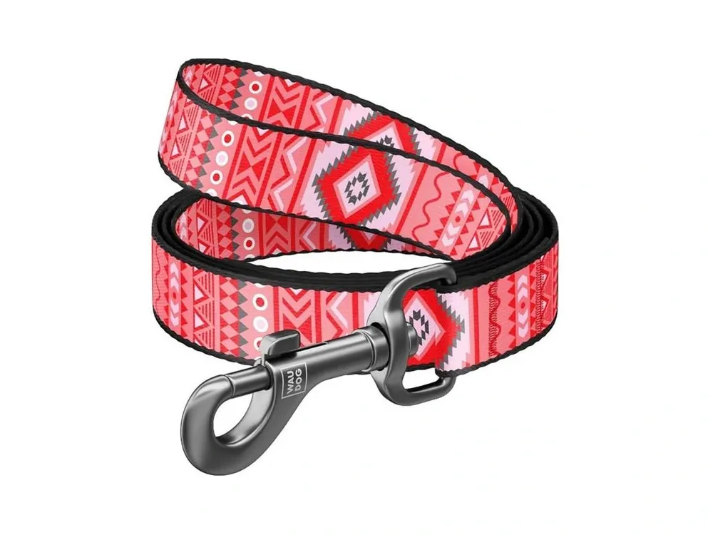 Oblíbený Vodítko nylon 25mmx122cm WAUDOG Etno červené