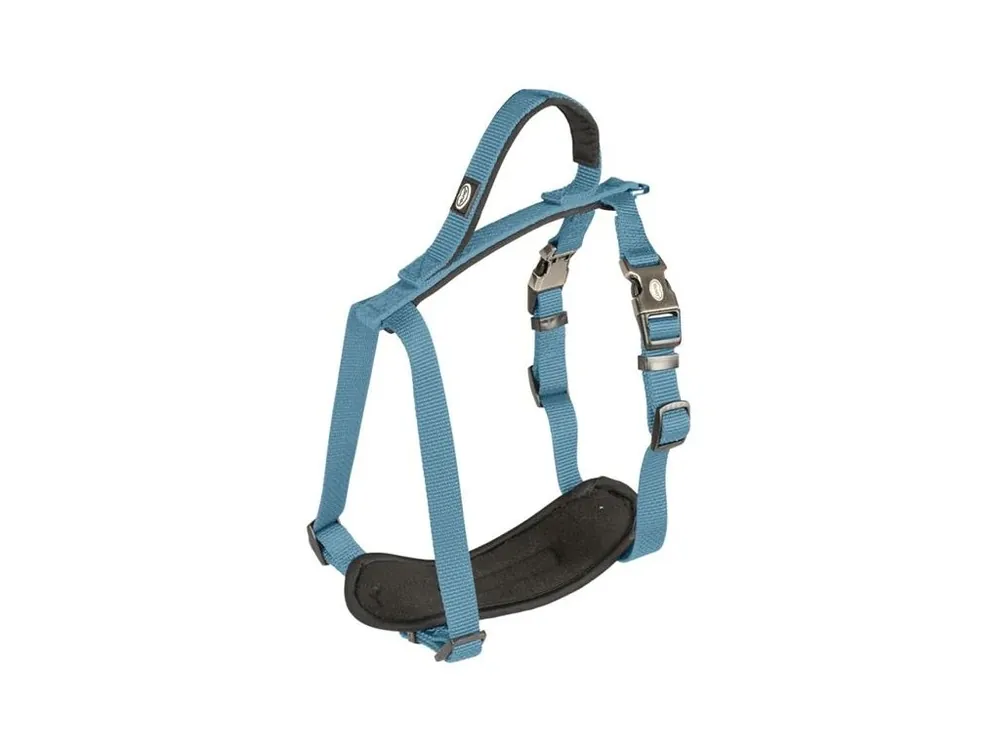 Akční Cena Postroj nylon North modrý 1,5x30-40 cm Duvo+