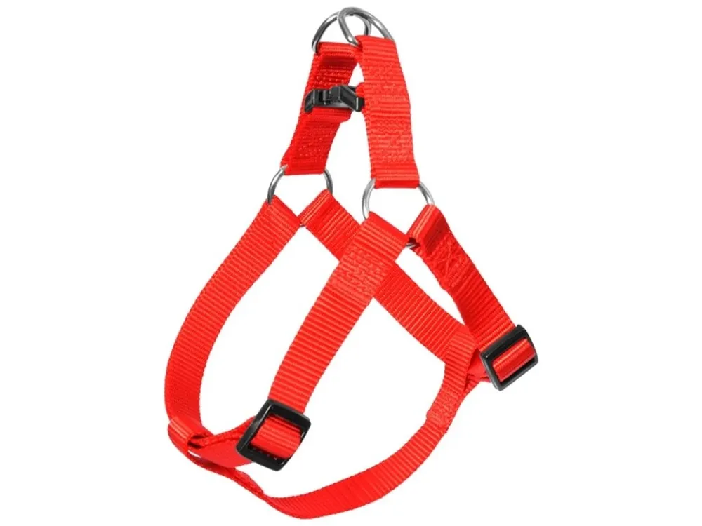 Postroj nylon Červená DUVO+ 2,0 x 50-65 cm Speciální Cena