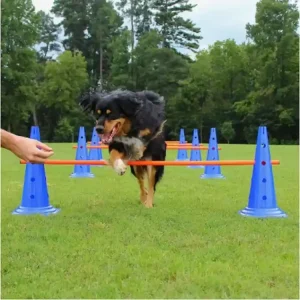 Top Prodej Agility překážky pro psy – tréninková sada