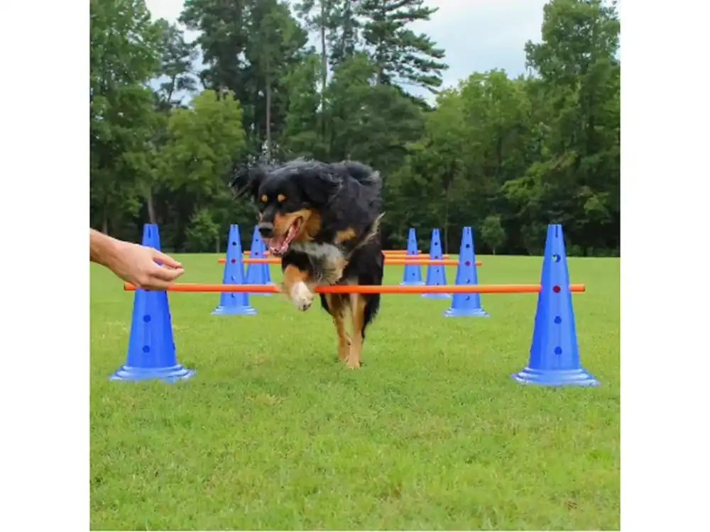 Top Prodej Agility překážky pro psy – tréninková sada