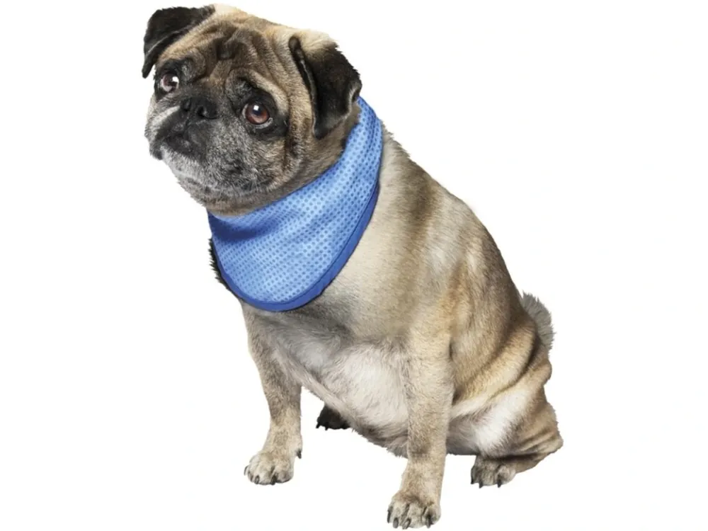 Chladící šátek Bandana 20-30 cm modrý Nobby Rychlé Dodání