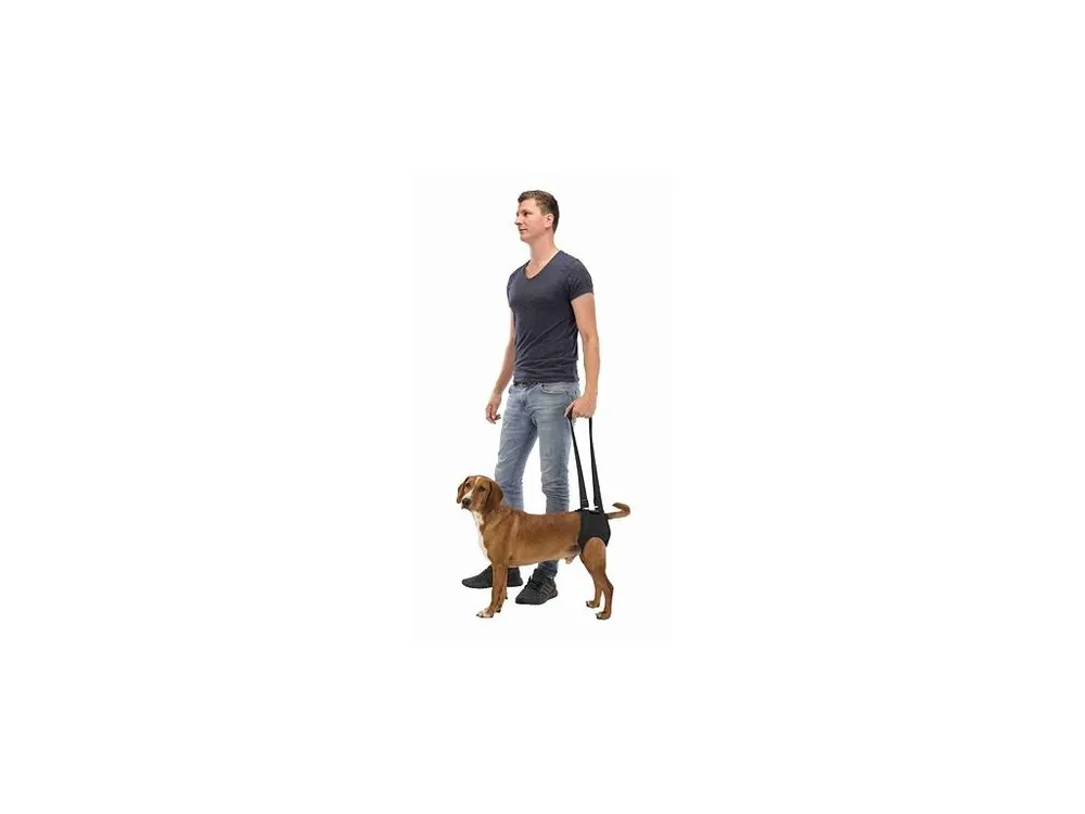 Podpůrná pomůcka k chůzi M 55-65 cm černá Časově Omezené