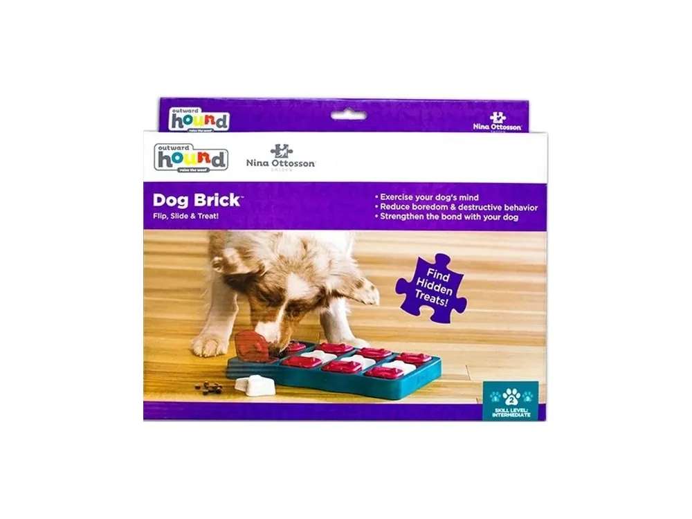 Jen Po Omezenou Doba Hračka plast interaktivní Brick RW (1 ks)