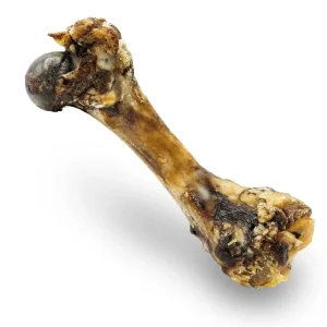 Hit Sezóny Šunková kost přírodní sušená 20 cm / 280 g