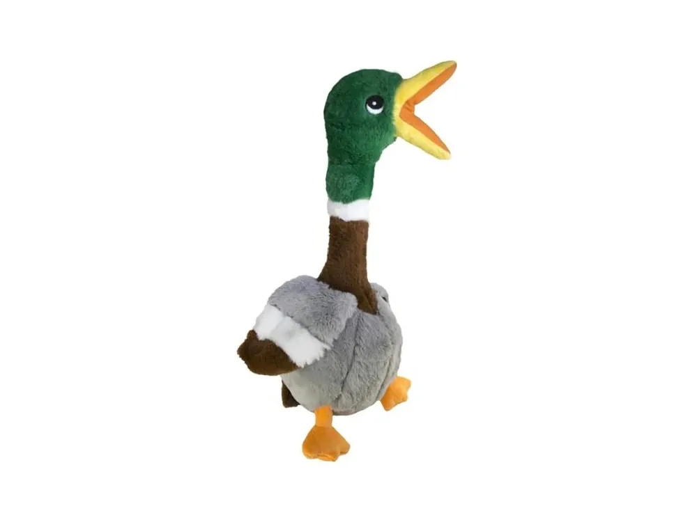 Pouze Dnes Hračka plyš KONG Shakers Honkers Duck L