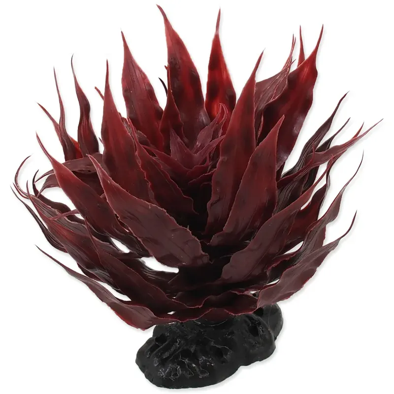 Repti Planet rostlina sukulent Agave červená 18 cm Oblíbený