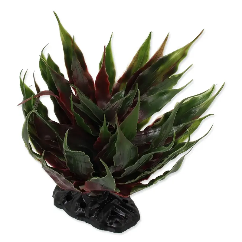 Časově Omezené Repti Planet rostlina sukulent Agave zelená 18 cm