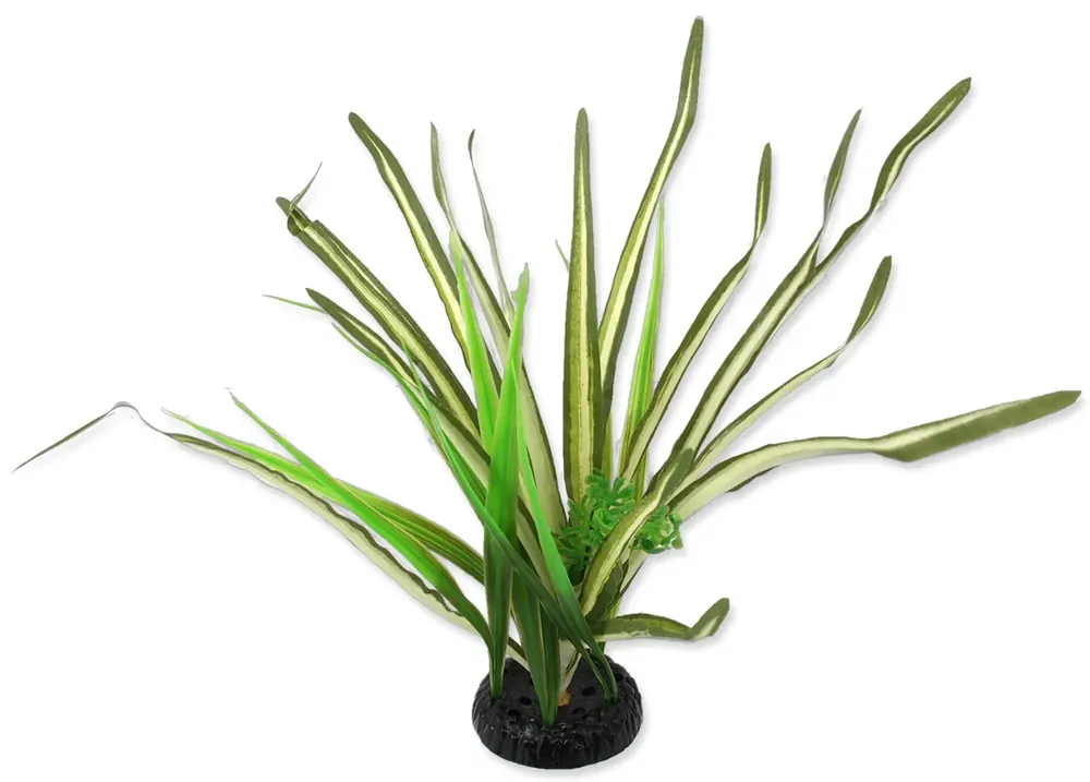 Repti Planet travina Spartina 30 cm Zlevněný