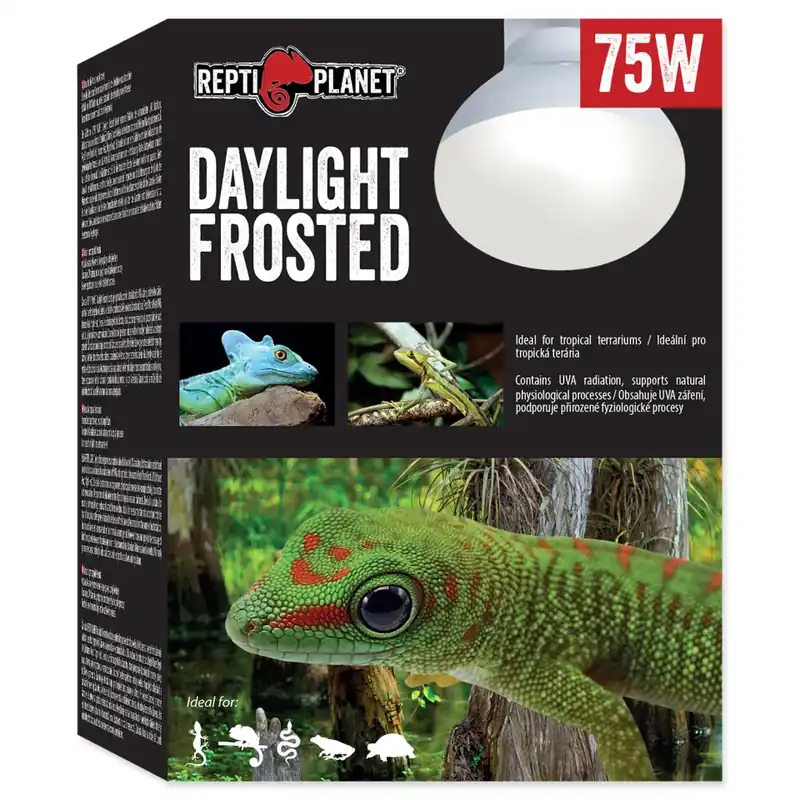 Repti Planet Daylight Frosted 75 W Vysoce Kvalitní