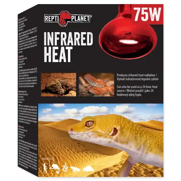 Repti Planet Infrared Heat 75 W Must-Have