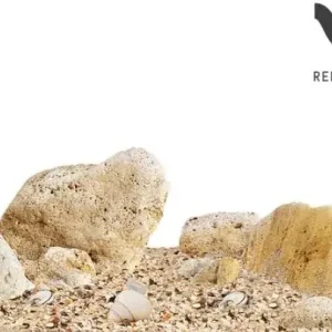 Wio Nautilus Light River Kit hardscape Hit Sezóny