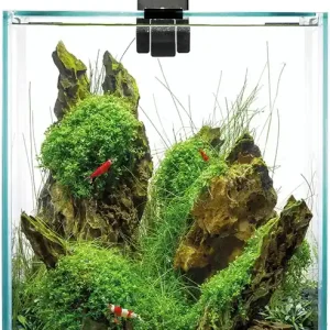 AquaEl Shrimp Smart DAY&NIGHT akvarijní set 30 l černý - poškozený produkt Akční Cena