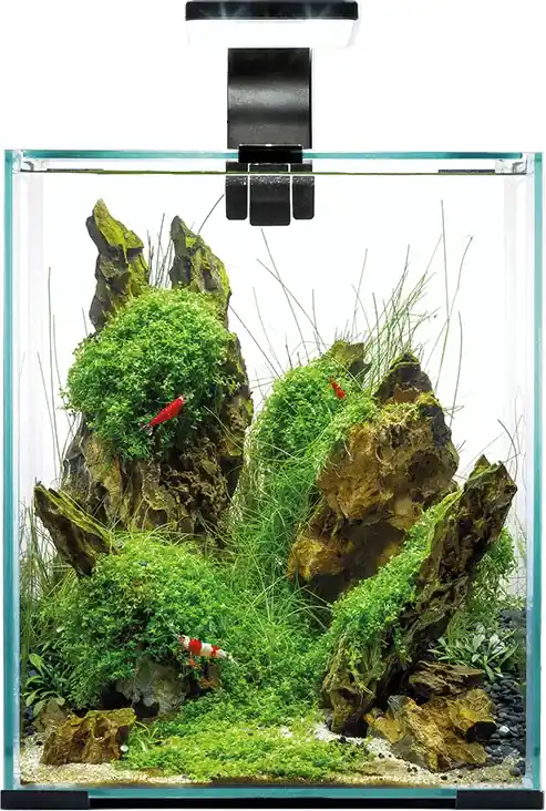 AquaEl Shrimp Smart DAY&NIGHT akvarijní set 30 l černý - poškozený produkt Akční Cena