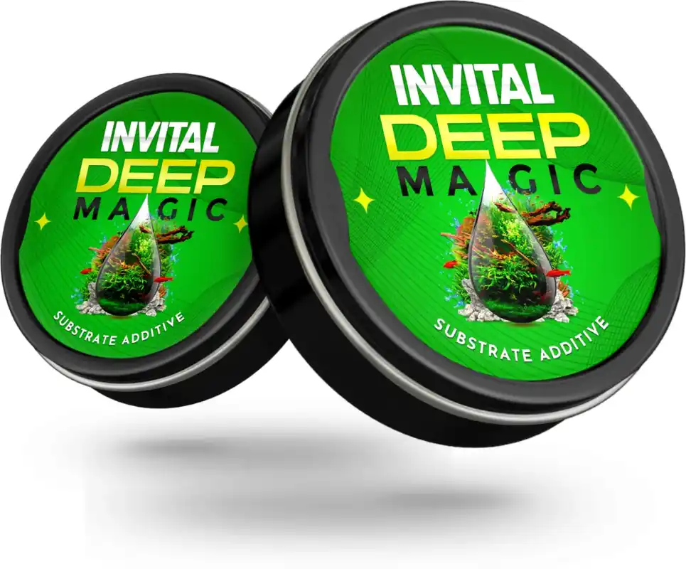 INVITAL DeepMagic 20 g startovací bakterie do substrátu Omezená Nabídka
