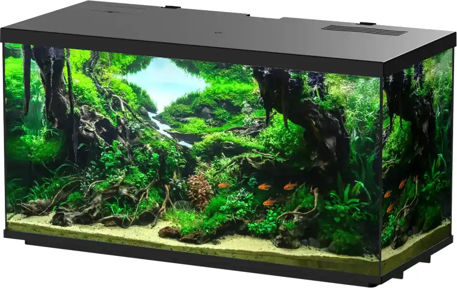 Poslední Šance INVITAL Style LED akvarijní set 16 l s biofiltrem