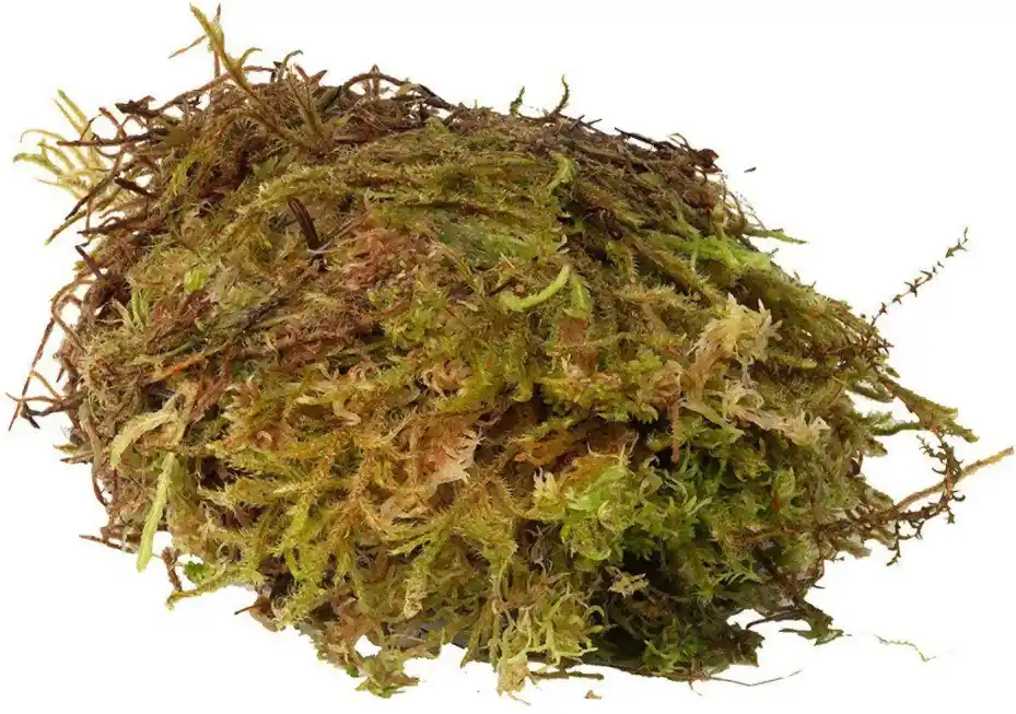 Super Cena HabiStat Sphagnum Moss 250g