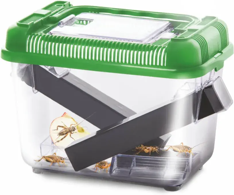 Cricket Box - Přenosný box na cvrčky s dávkovačem Top Prodej