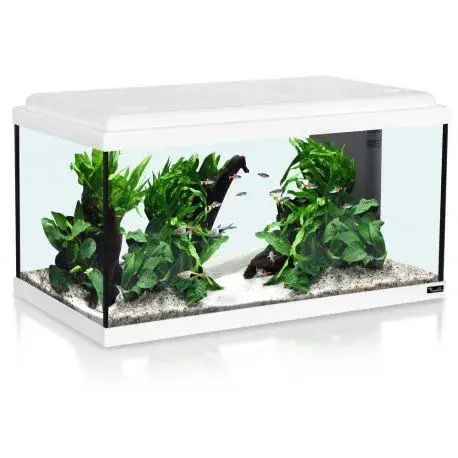 Aquatlantis Advance 60 akvarijní set bílý 60 l - neúplný produkt Rychlé Dodání