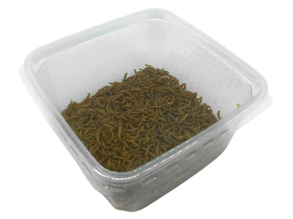 Speciální Cena Moučný červ malý 1 dcl