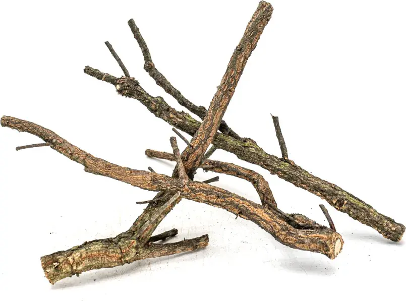 Nová Kolekce INVITAL Korkové větve premium 30-60 cm - rozvětvené