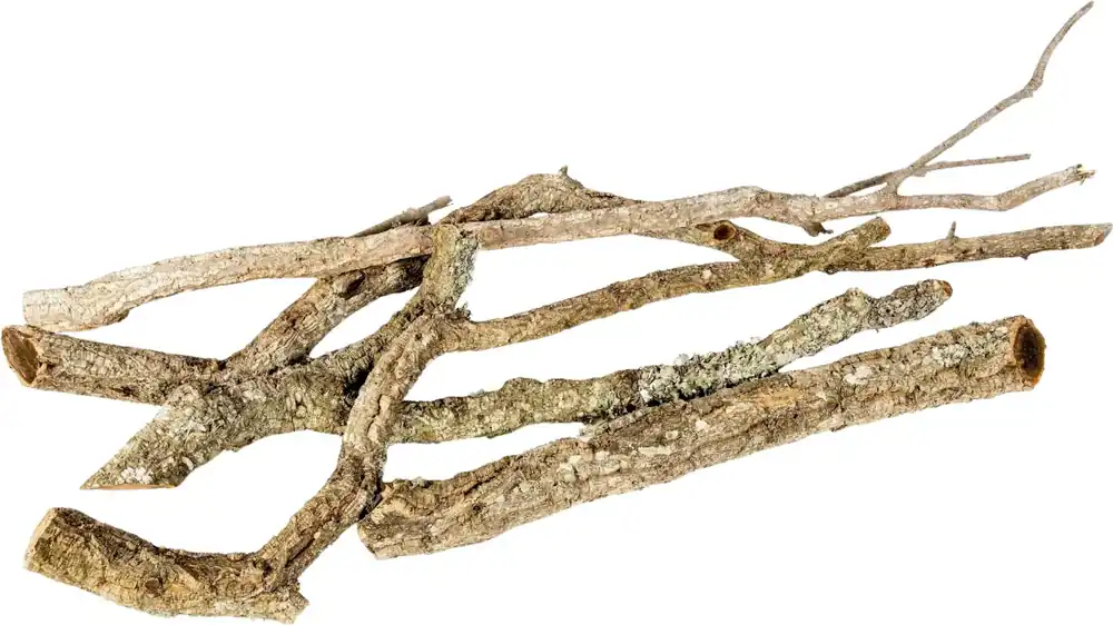 INVITAL Korkové větvě 30-40 cm a průměru 2-5 cm Kup Teď