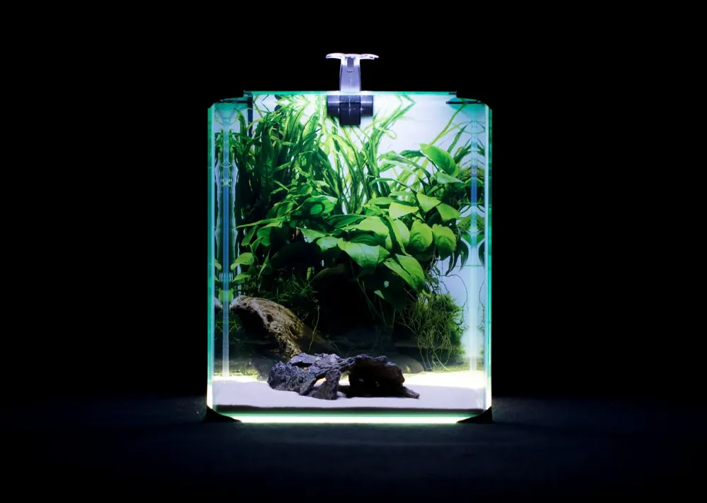 Diversa akvarijní set Neo Light 30 litrů - neúplný produkt Nejlepší Cena