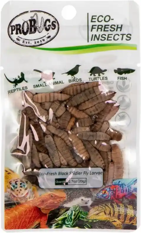 ProBugs Eco-Fresh Black Solider Fly Larvae 20g larvy černé mouchy Sleva