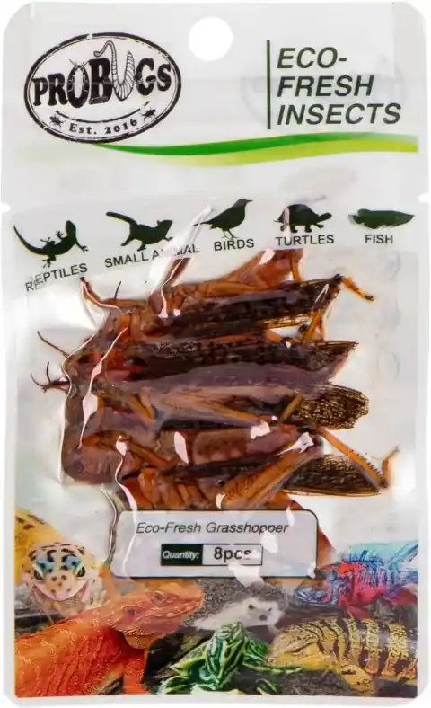 Autentický ProBugs Eco-Fresh Grasshopper 8 ks kobylky