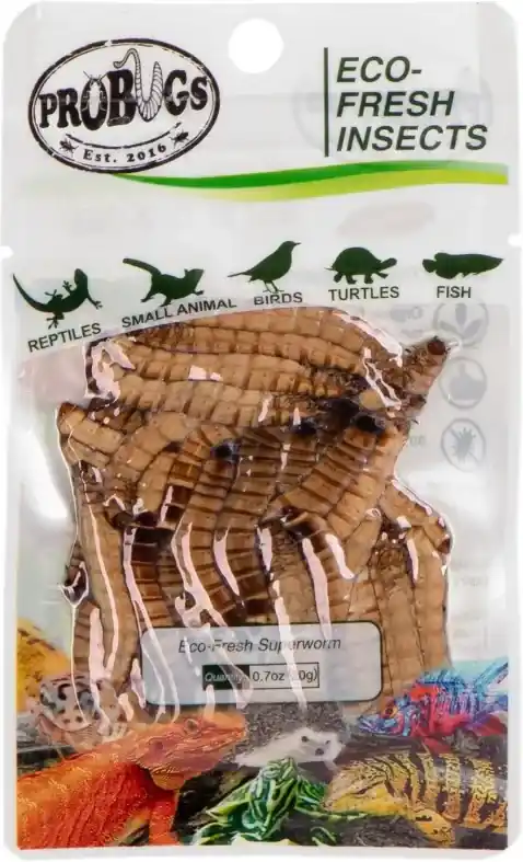 ProBugs Eco-Fresh Superworm 20g larvy dřevokazného brouka Cenově Výhodný