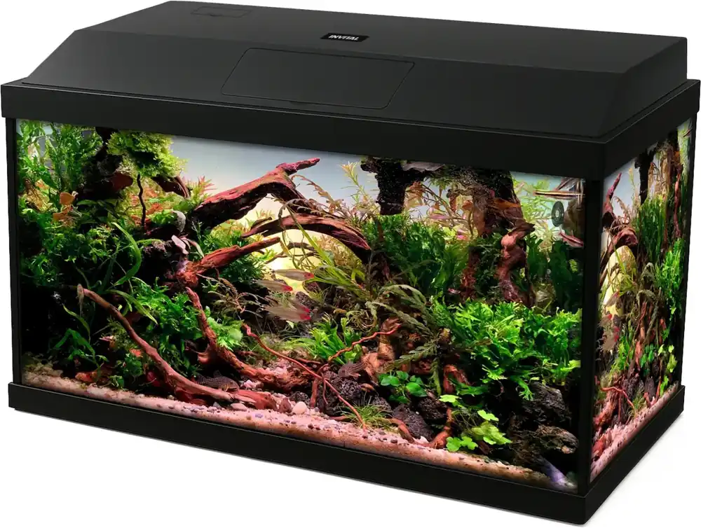 Časově Omezené INVITAL LED akvarijní set 40 litrů s vnitřním filtrem a topítkem