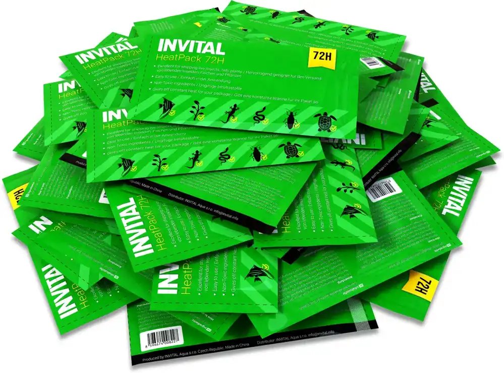 Cenová Bomba INVITAL HeatPack 72H výhřevný sáček 50 ks