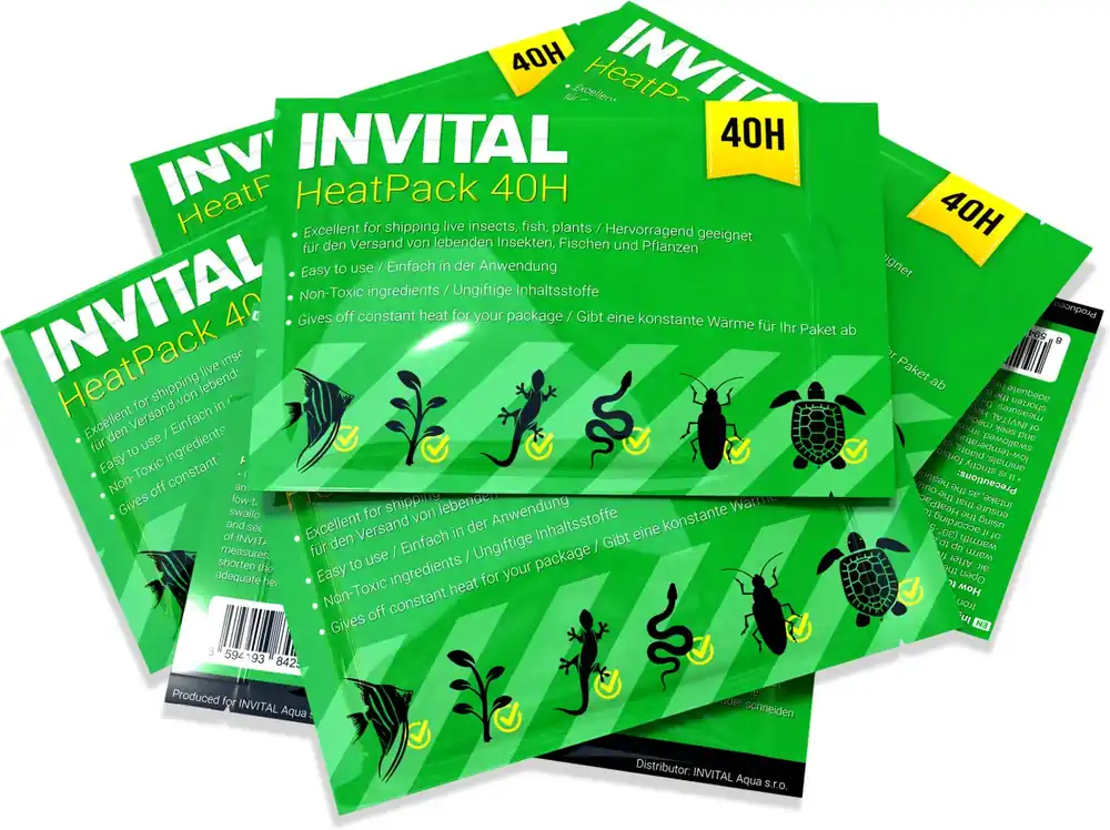 Top Prodej INVITAL HeatPack 40H výhřevný sáček 10 ks