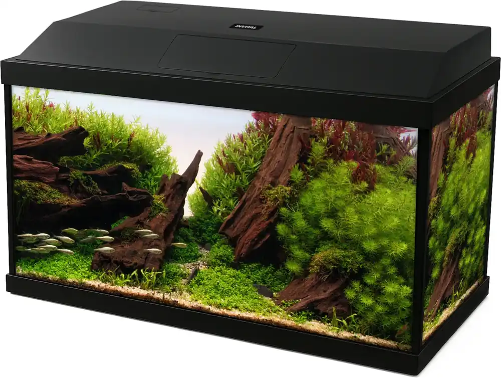 Výhodná Nabídka INVITAL LED akvarijní set 25 litrů s vnitřním filtrem a topítkem