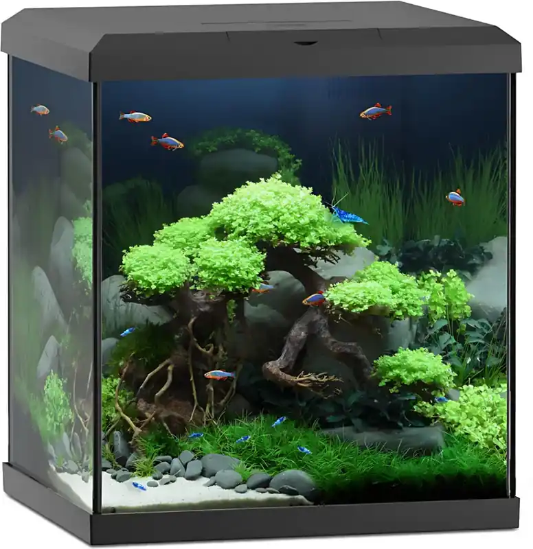 Odeslání Ihned Juwel Vio Cube 54 LED akvarijní set černý