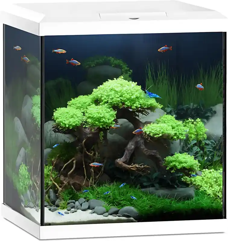 Vysoce Kvalitní Juwel Vio Cube 54 LED akvarijní set bílý